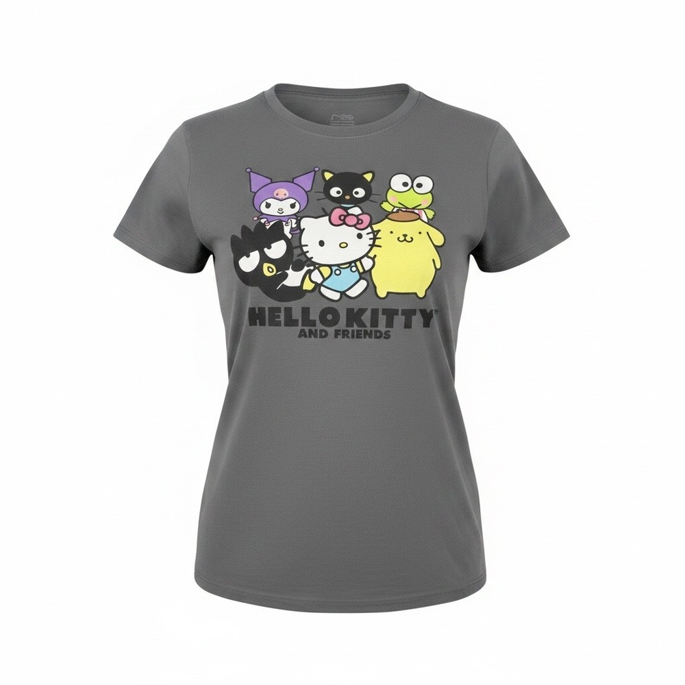Sanrio Hello Kitty and Friends Gray Graphic T-Shirt Excellent Kids XL 14/16